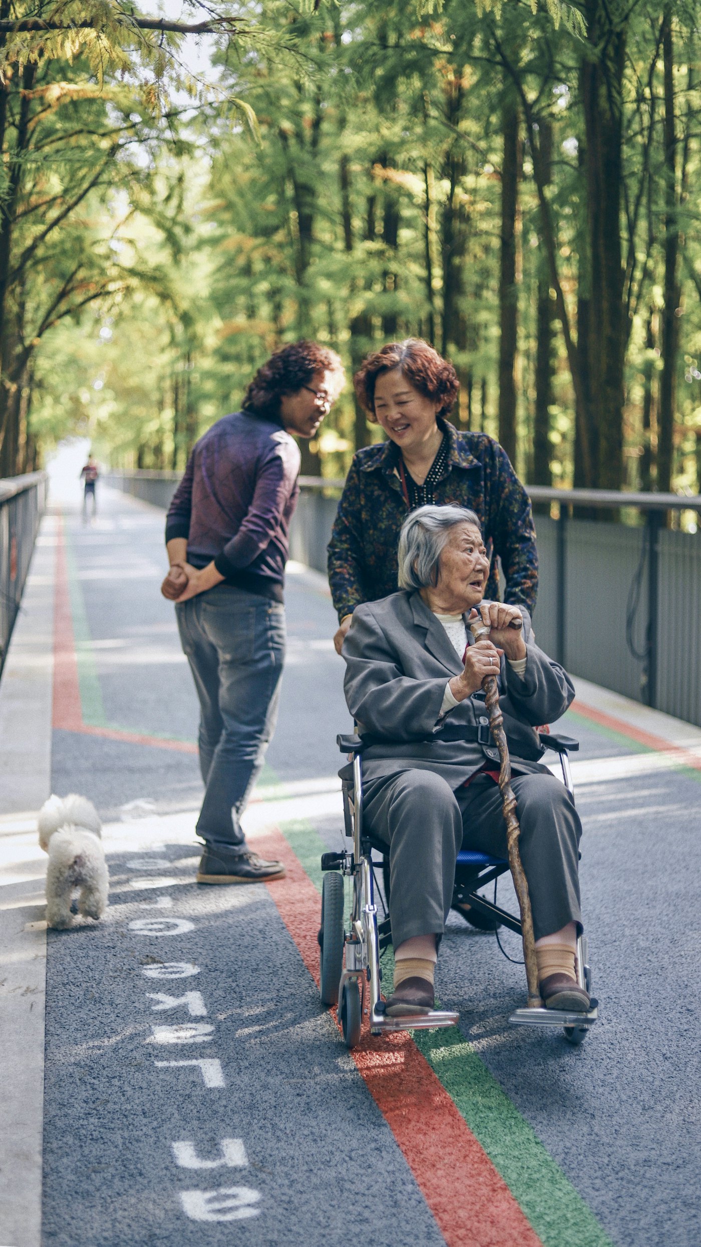 An adult daughter and son walking with their mother through a tree-lined park